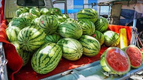 成都吃瓜网红事件真相,揭秘背后真相与网络舆论风暴