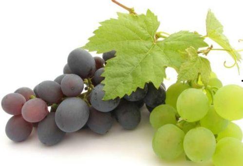 网红吃瓜葡萄图片真实,真实画面引网友热议