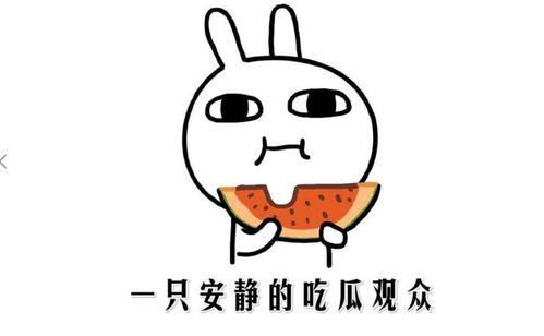 吃瓜网抖音,揭秘娱乐圈幕后故事