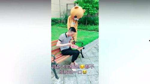 吃瓜小熊网红叫什么,揭秘网红背后的故事