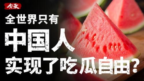 文案吃瓜网红怎么写的,如何成为网络热议焦点